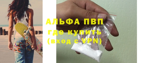 гидра Пестово